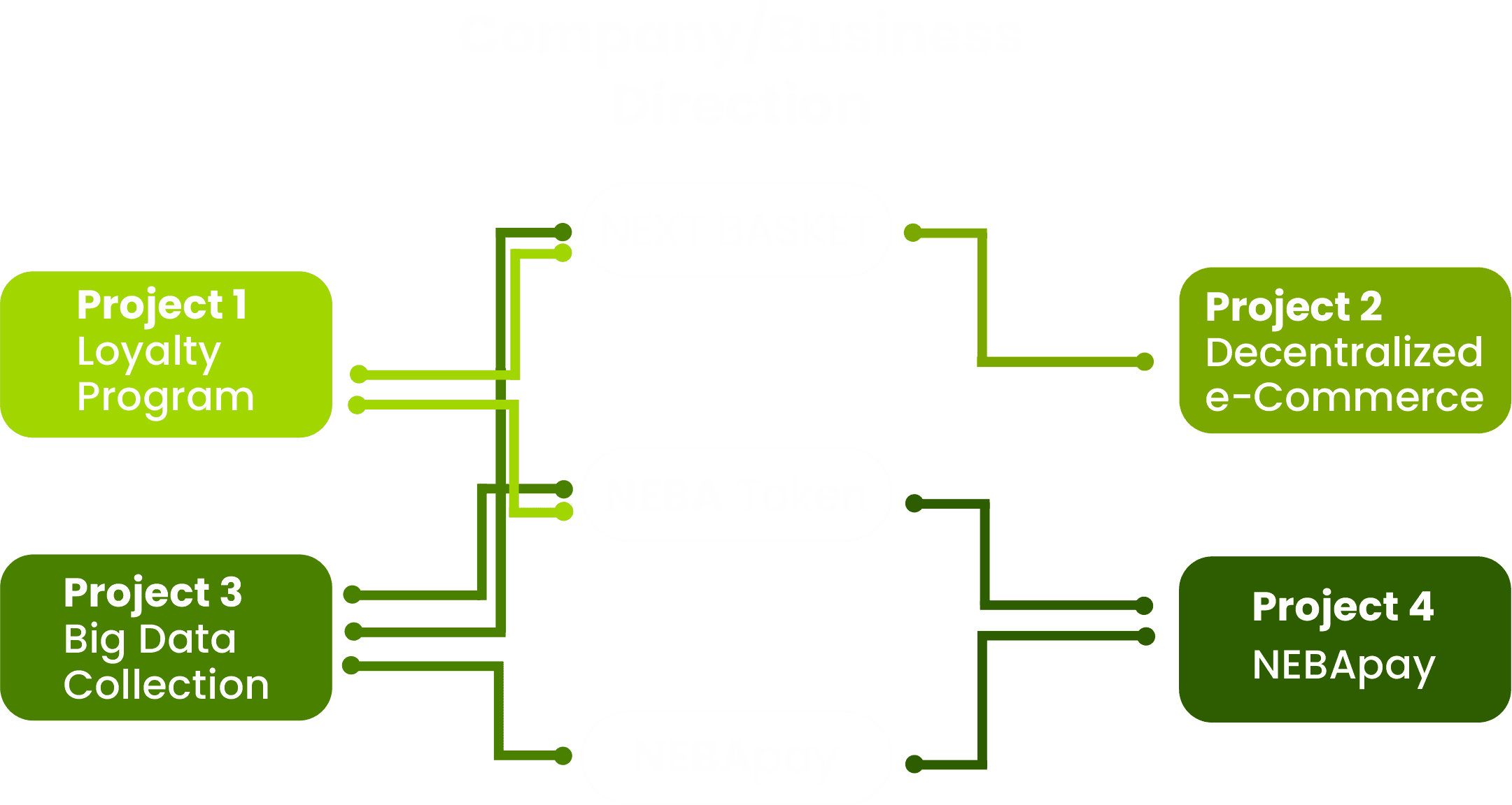 Company Business Directions